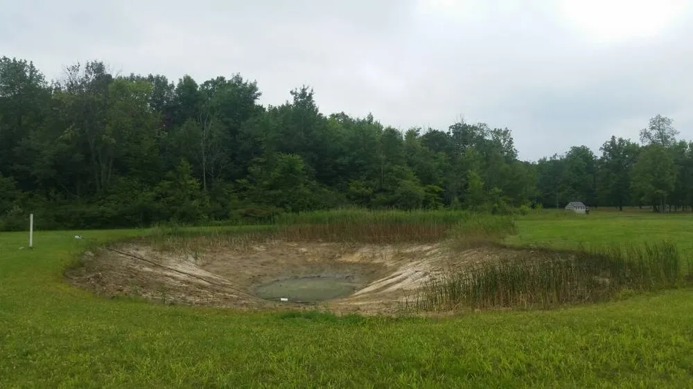 Custom yard cleanup service for year-round maintenance in Skiatook, OK by K & S Services