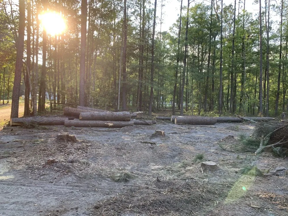 Local lawn care service experts serving Guyton, GA - K & S Tractor Service