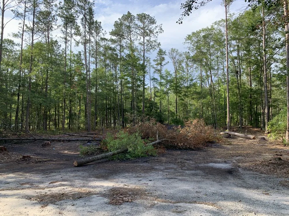 Custom landscape installation in Guyton, GA by K & S Tractor Service