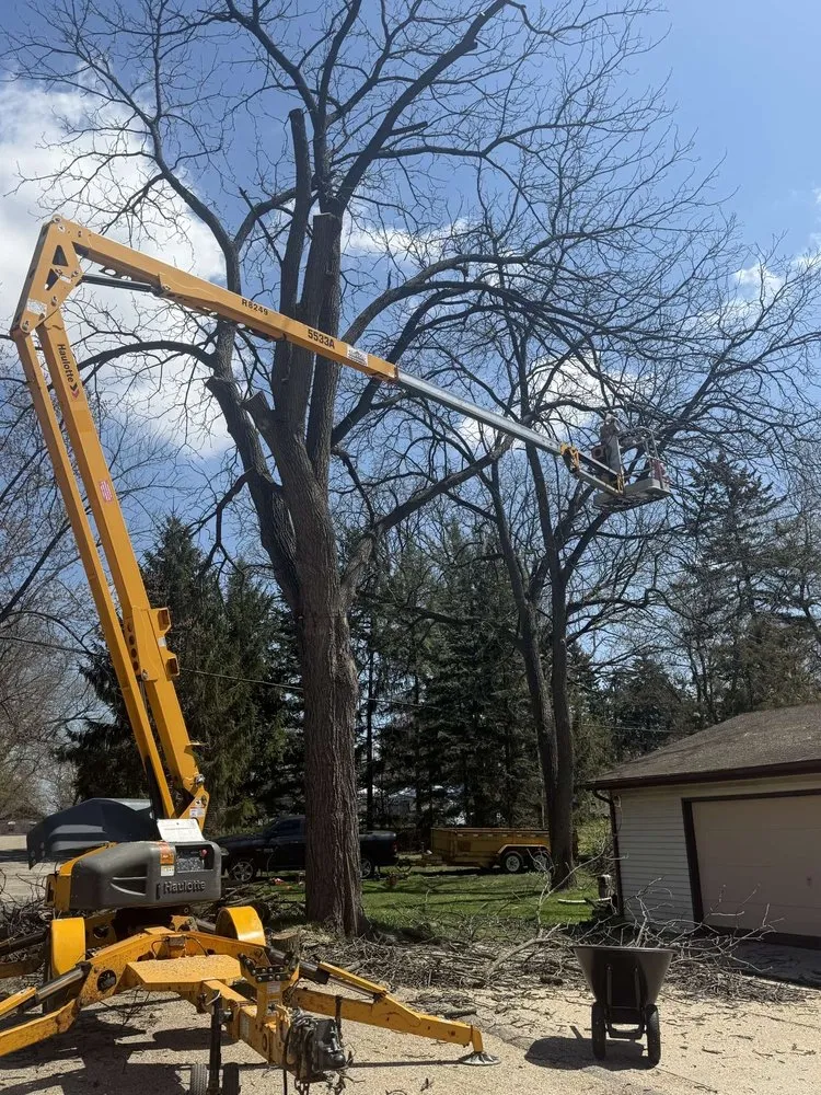 Professional yard cleanup service for outdoor upgrades across Burlington, WI - K & S Tree and Landscaping