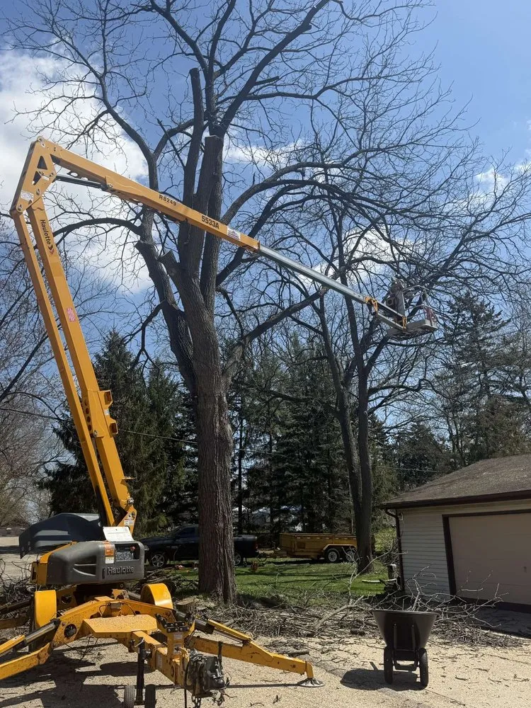 Affordable outdoor landscaping for outdoor upgrades across Burlington, WI - K & S Tree and Landscaping