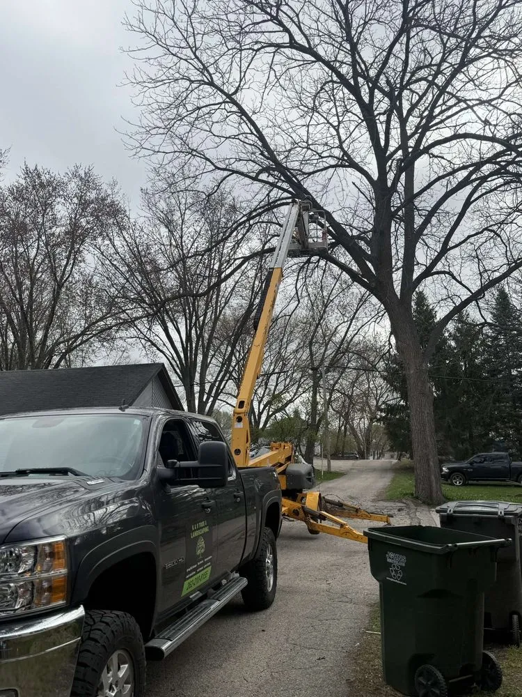 Local landscape design in Burlington, WI by K & S Tree and Landscaping