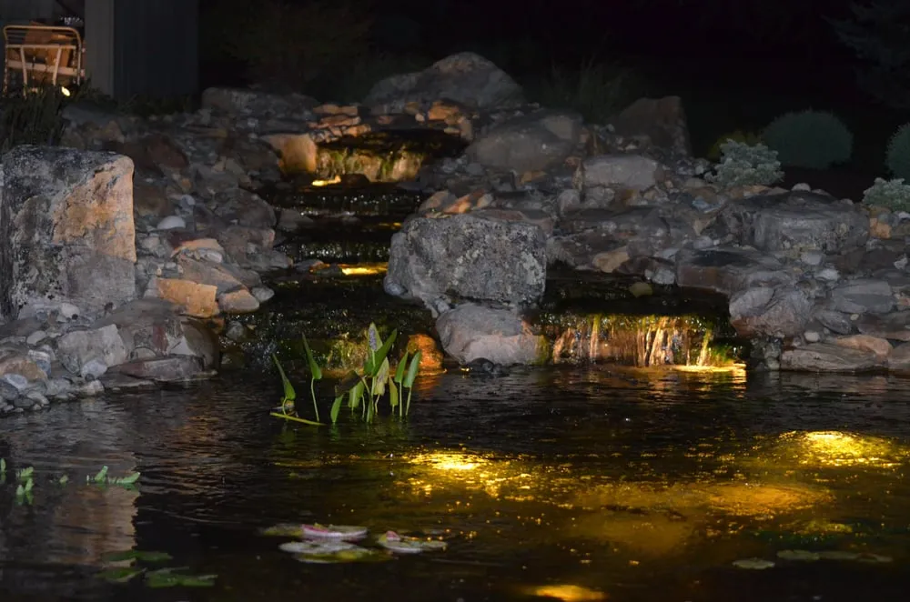 Affordable yard cleanup service for homes across Elkton, VA - K & T Services