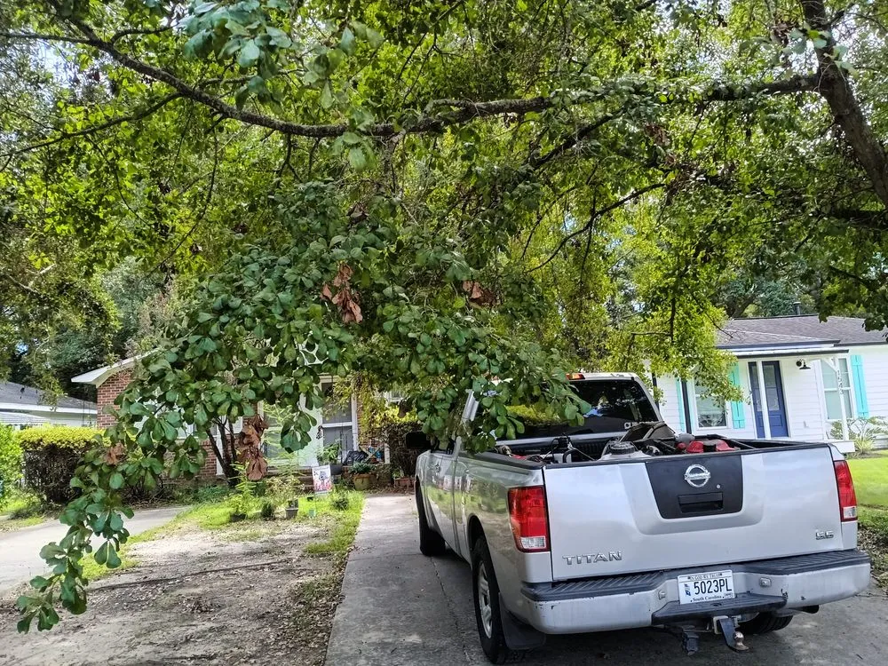 Professional landscape installation in Ridgeville, SC - K and D Landscaping