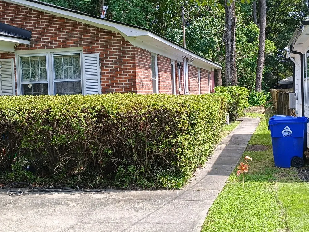 Custom yard maintenance for year-round maintenance in Ridgeville, SC by K and D Landscaping