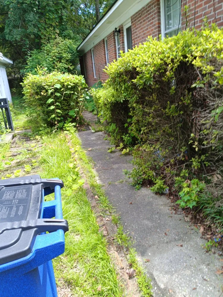 Professional landscaping services in Ridgeville, SC - K and D Landscaping