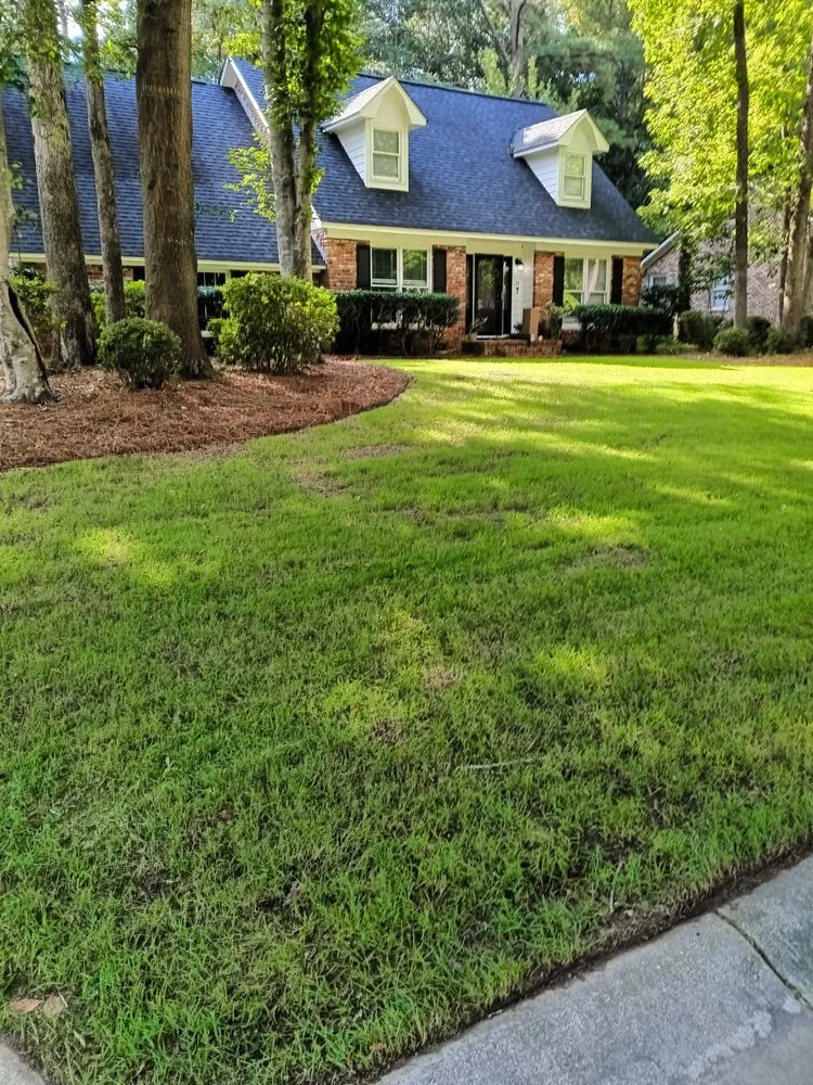 Top-rated residential landscaping in Ridgeville, SC - K and D Landscaping