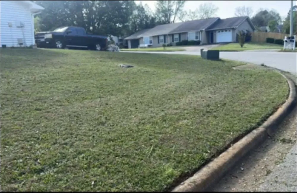 Reliable residential landscaping experts serving Cusseta, AL - K and D Lawn