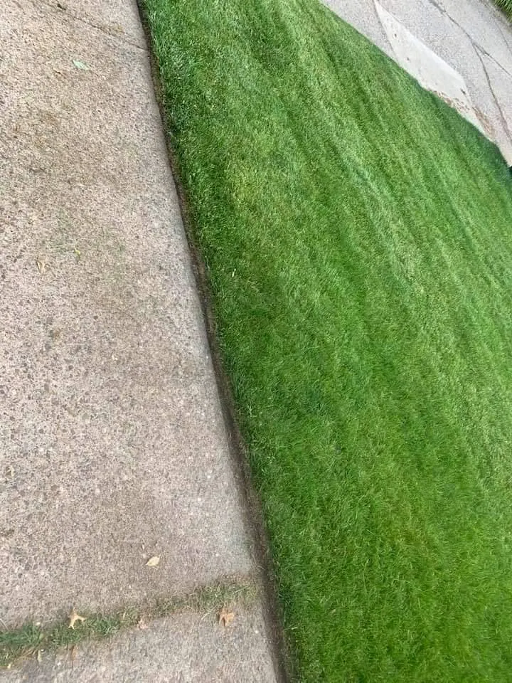 Trusted residential landscaping experts serving Youngstown, OH - K and D Lawn Specialist