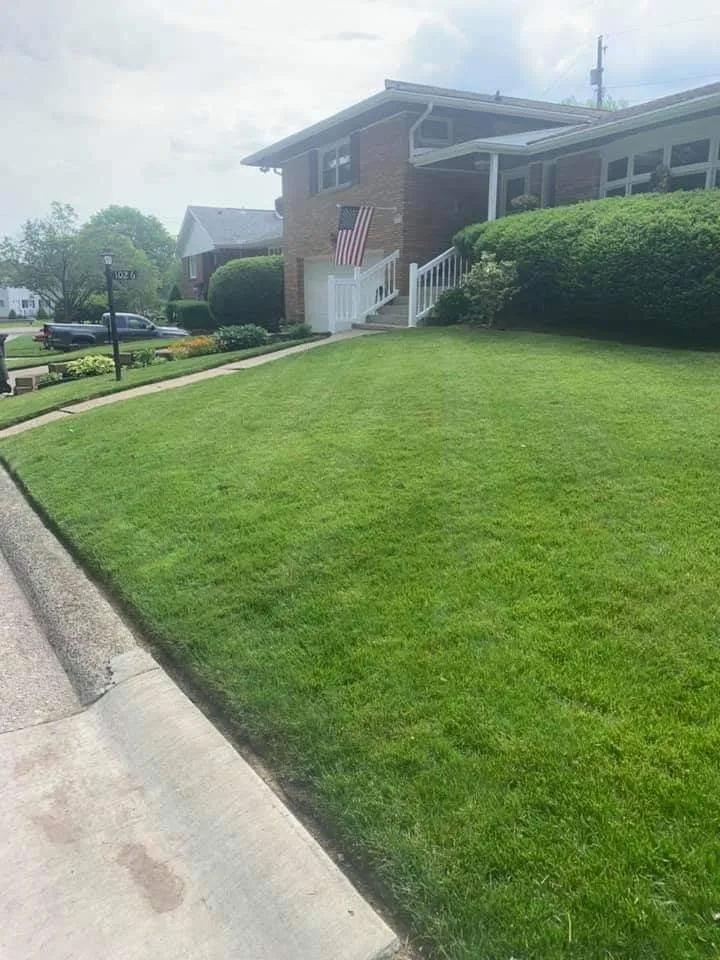 Local landscaping services for year-round maintenance in Youngstown, OH by K and D Lawn Specialist