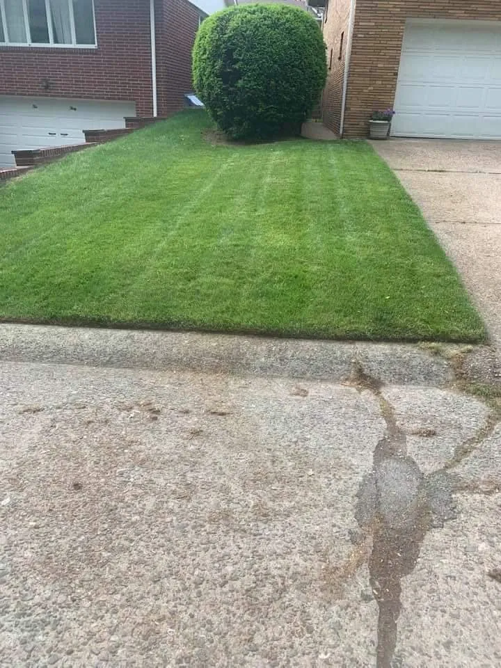 Expert lawn care service with custom design in Youngstown, OH by K and D Lawn Specialist