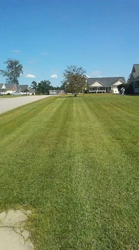 Affordable residential landscaping for outdoor upgrades in Lumberton, NC by K and D Lawncare and Handyman Service