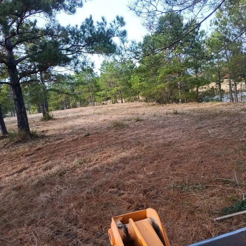 Reliable lawn care service with custom design in Holden, LA by K and E Resources
