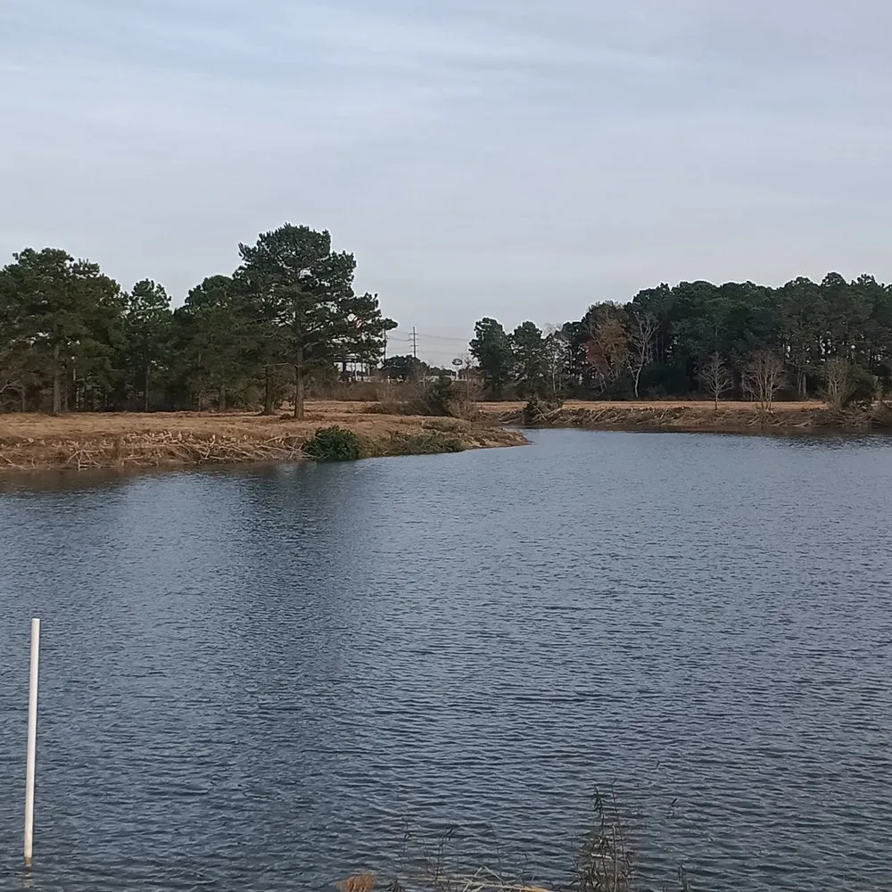 Trusted lawn care service experts serving Holden, LA - K and E Resources