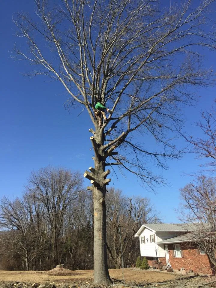 Local residential landscaping for year-round maintenance across Sainte Genevieve, MO - K and J Landscaping