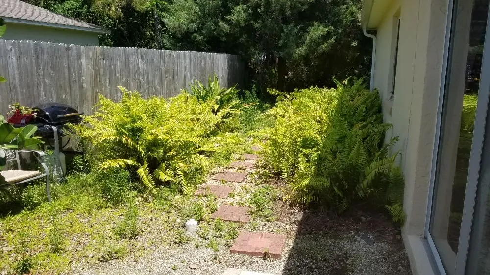 Professional landscaping services near you in Bunnell, FL by K and J lawn Care of Flagler