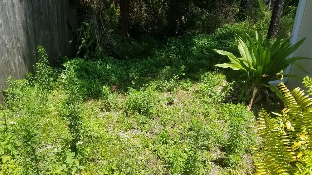 Reliable yard cleanup service in Bunnell, FL by K and J lawn Care of Flagler