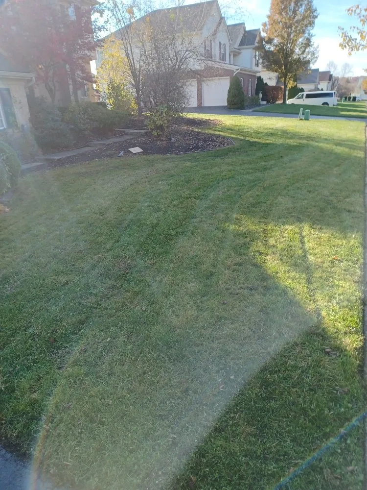 Custom lawn care service in Romulus, MI - K and k lawn and snow removal