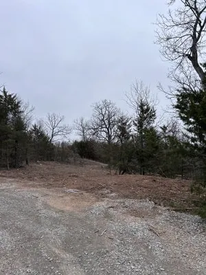 K and M Forestry and Land Management