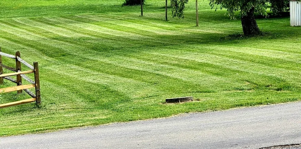 Affordable landscape installation experts serving Covington, VA - K AND M Lawn Care