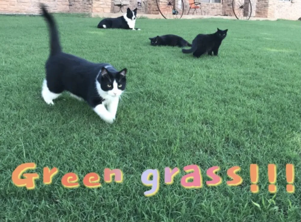 Trusted residential landscaping in Shawnee, OK - K Bar W Company