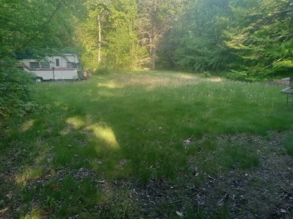 Professional lawn mowing service in Pittsfield, MA by K Brown's Property Maintenance