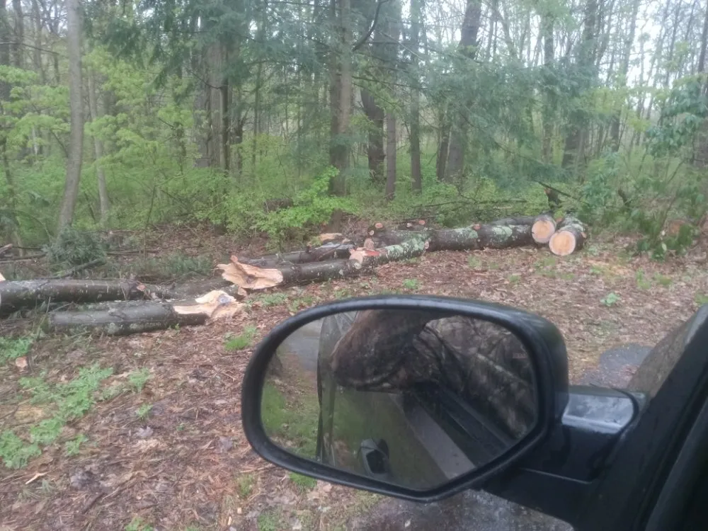 Top-rated yard cleanup service in Pittsfield, MA by K Brown's Property Maintenance