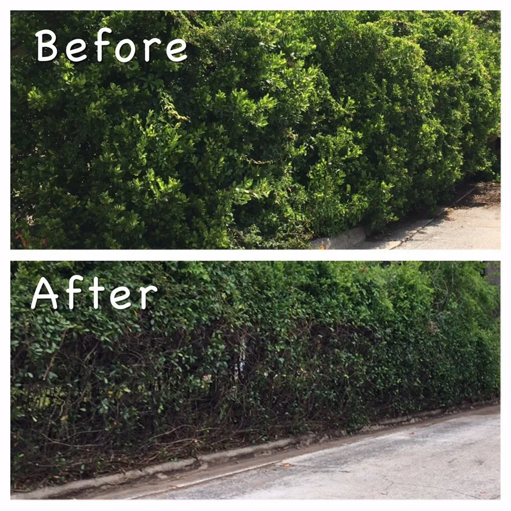 Reliable residential landscaping with custom design across Ocoee, FL - K Company Construction