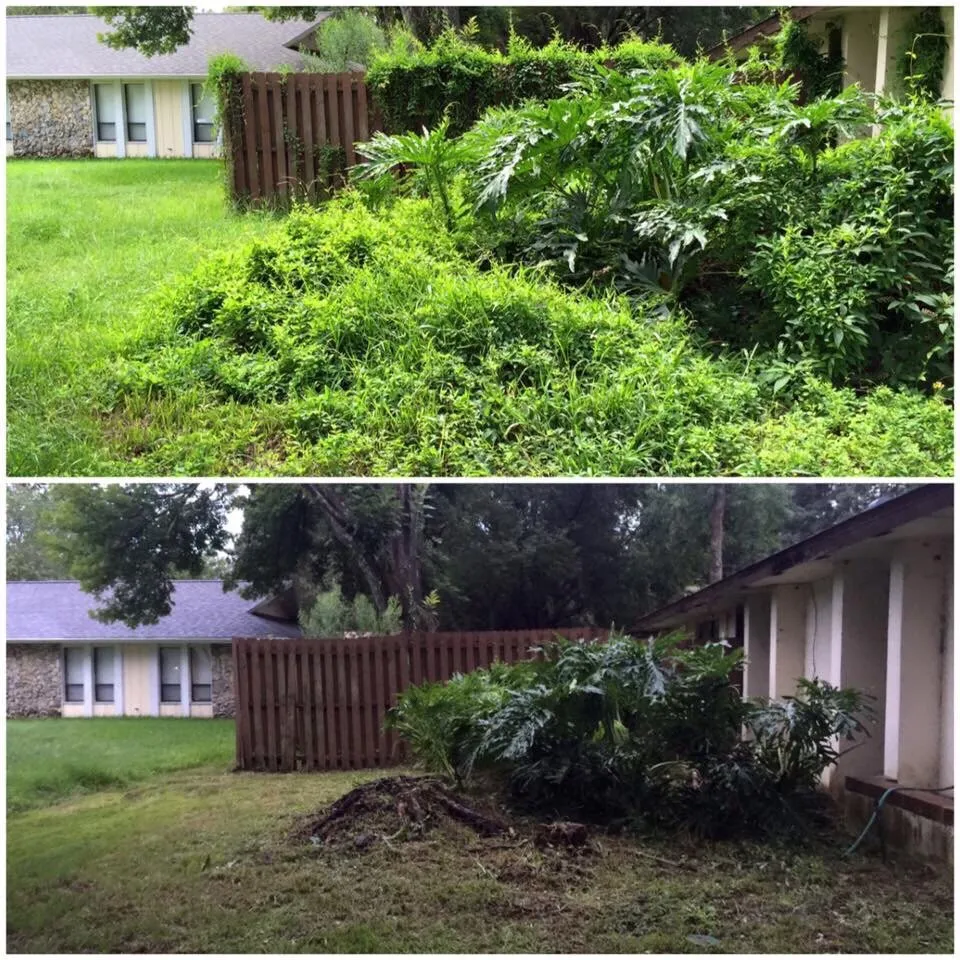 Affordable residential landscaping for residential properties in Ocoee, FL by K Company Construction