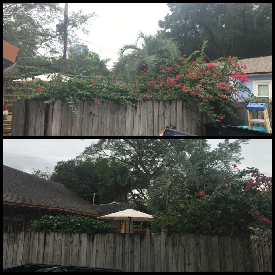 Professional landscape installation for outdoor upgrades across Ocoee, FL - K Company Construction