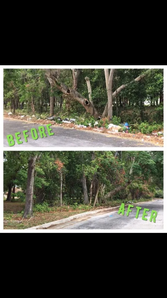 Professional landscape design in Ocoee, FL by K Company Construction