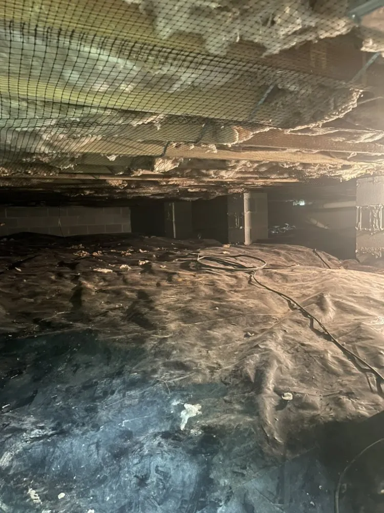 Top-rated landscape installation in Basye, VA by K D Shipe