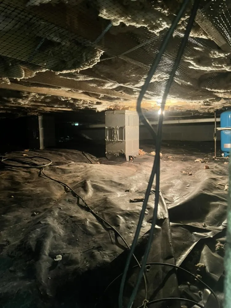 Custom landscape installation in Basye, VA by K D Shipe