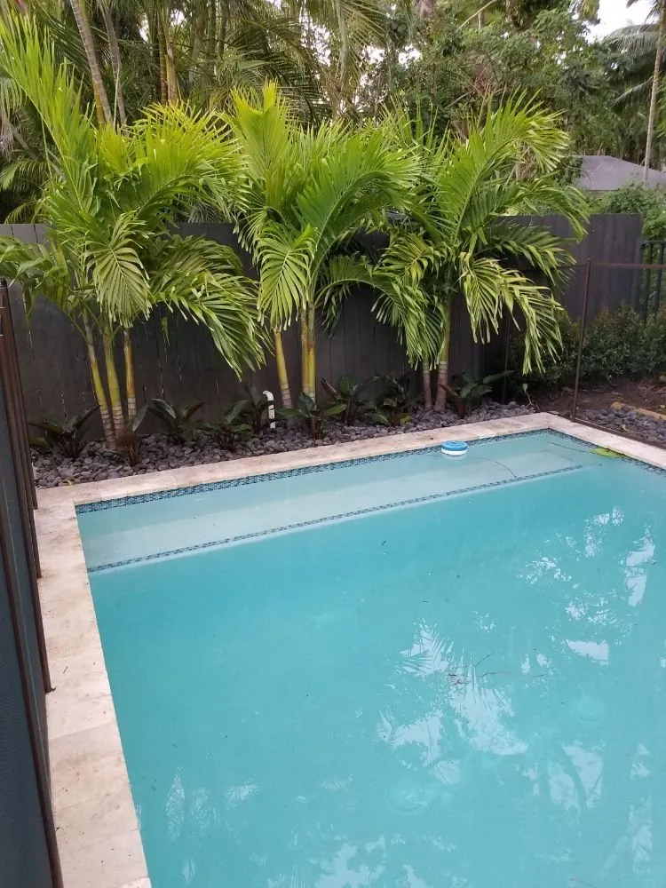 Affordable landscape installation experts serving Hialeah, FL - K-Diaz Landscaping