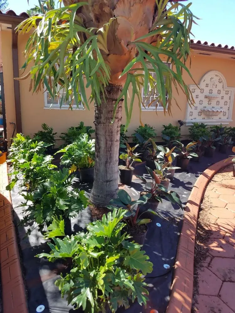 Custom outdoor landscaping in Hialeah, FL - K-Diaz Landscaping