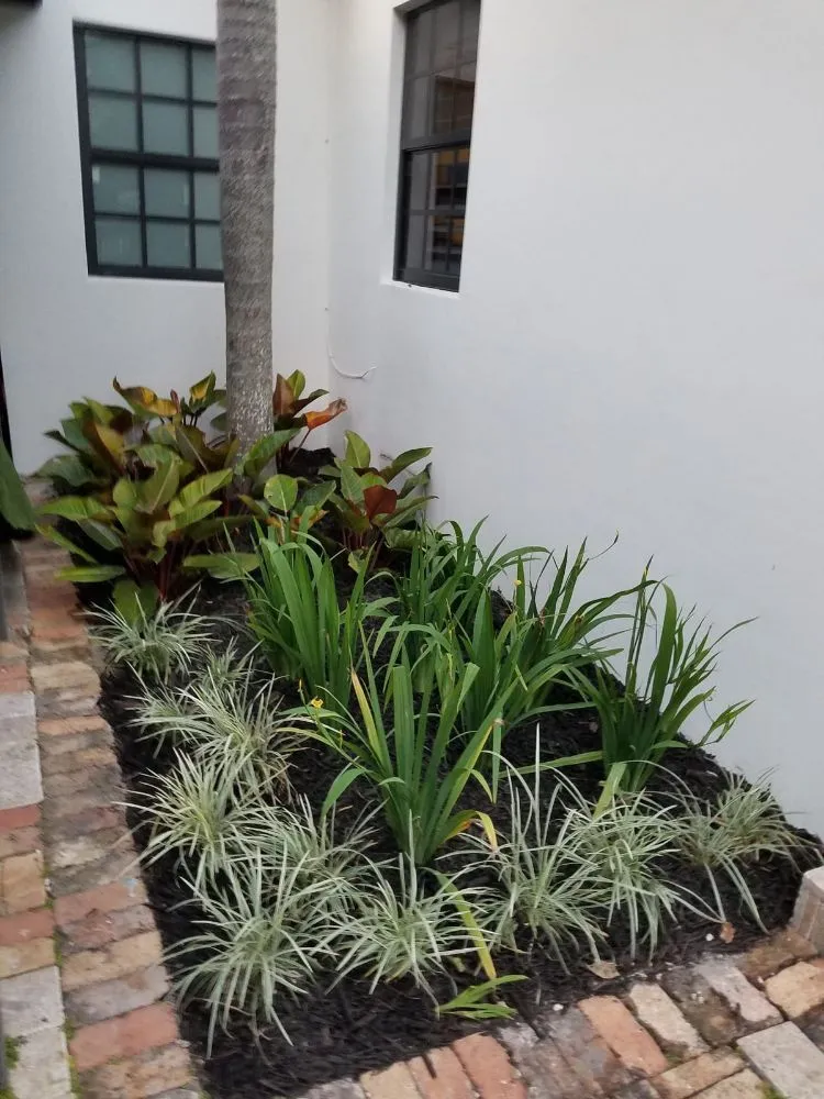 Trusted landscape design in Hialeah, FL - K-Diaz Landscaping