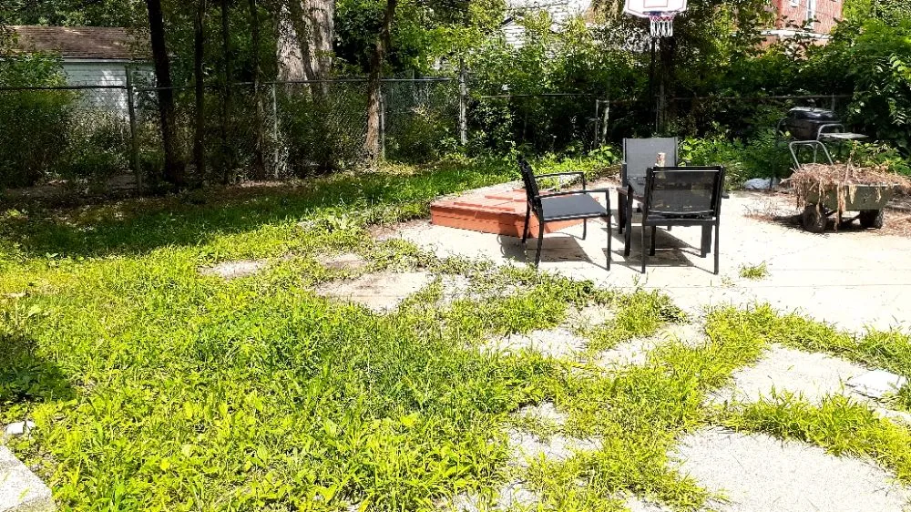 Professional lawn care service in Highland Park, MI - K Driver Landscaping