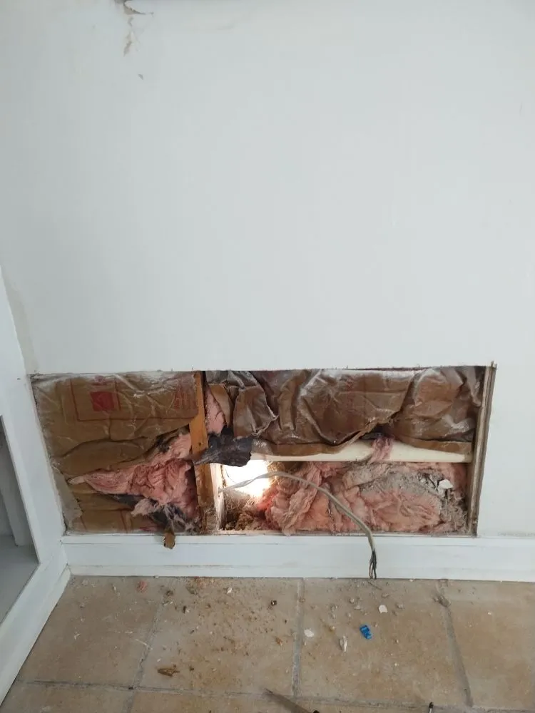 Local yard cleanup service experts serving Richlands, NC - K Hobbs Property Maintenance And Home Repair