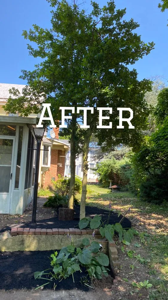 Reliable lawn care service experts serving York Springs, PA - K Landscaping And Concrete