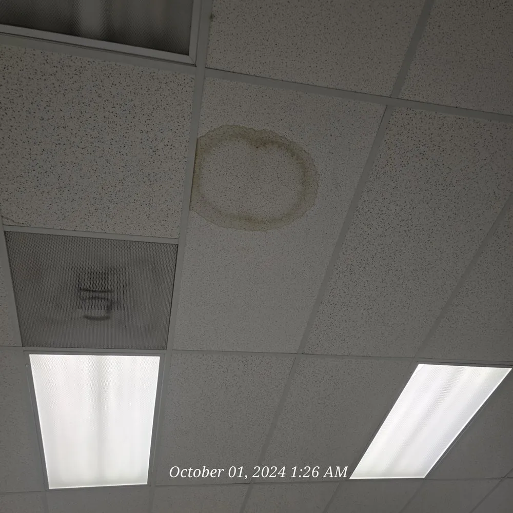 Trusted yard maintenance experts serving Hartsville, SC - K M Works