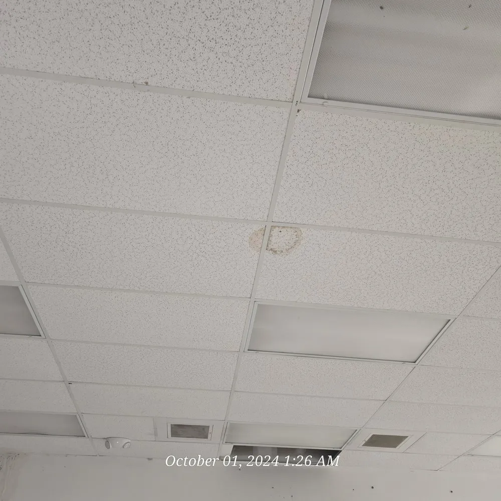 Trusted landscape installation for outdoor upgrades in Hartsville, SC by K M Works