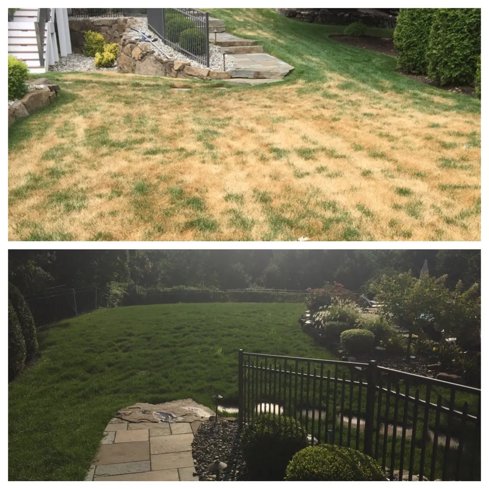 Top-rated landscape installation for beautiful yards across West Caldwell, NJ - K Macken Landscaping