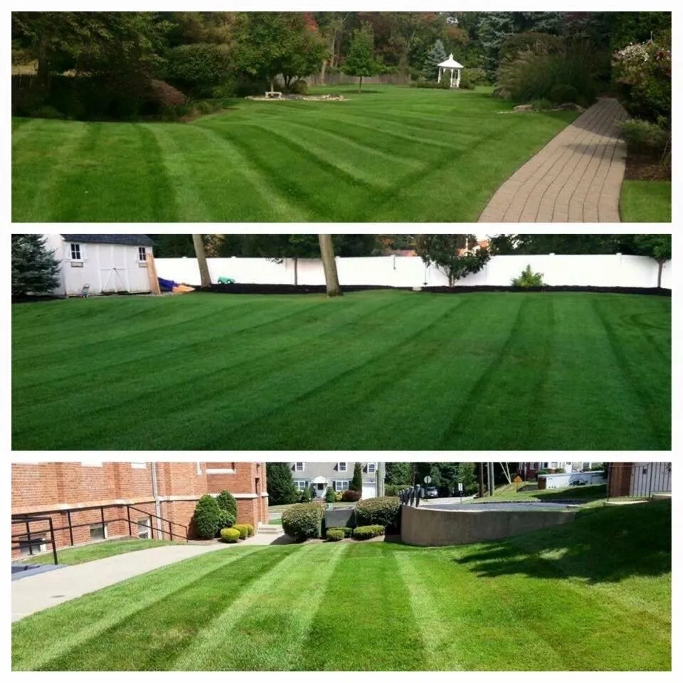 Affordable residential landscaping experts serving West Caldwell, NJ - K Macken Landscaping