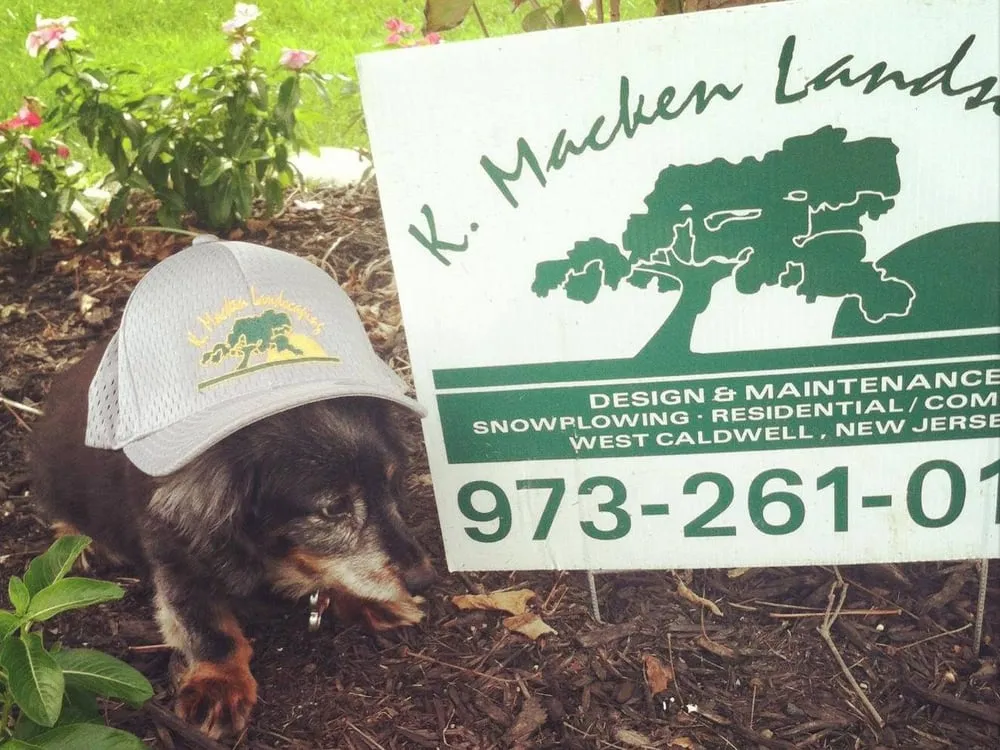 Expert landscaping services experts serving West Caldwell, NJ - K Macken Landscaping