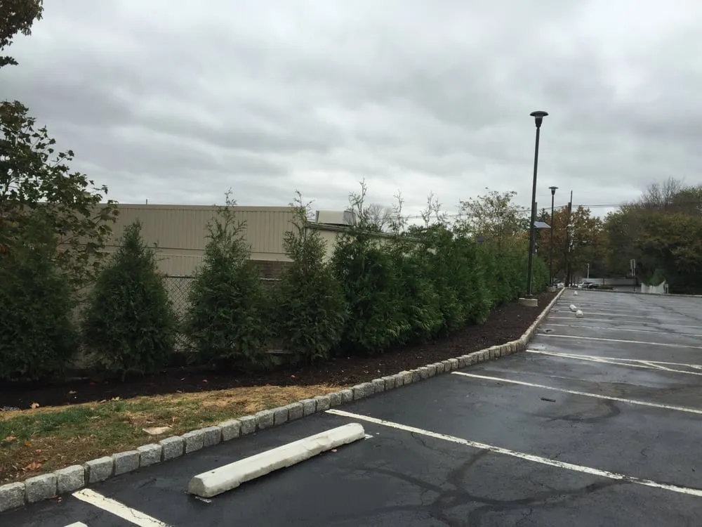 Expert lawn care service in West Caldwell, NJ by K Macken Landscaping