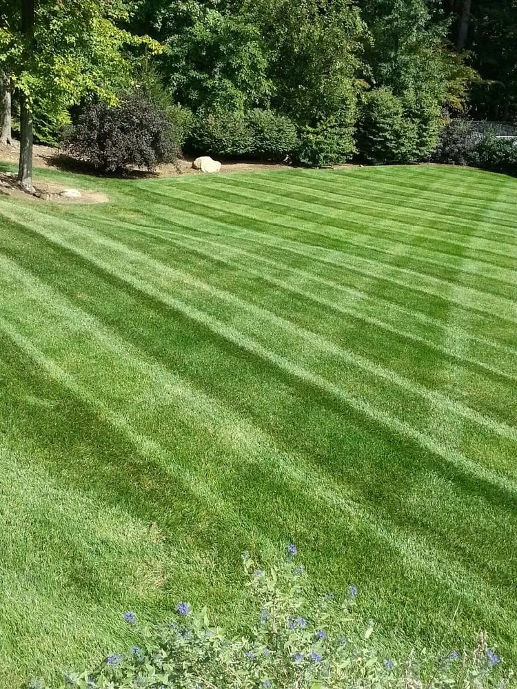 Affordable lawn mowing service for homes in West Caldwell, NJ by K Macken Landscaping