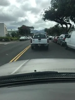 K N Lawn Service Logo