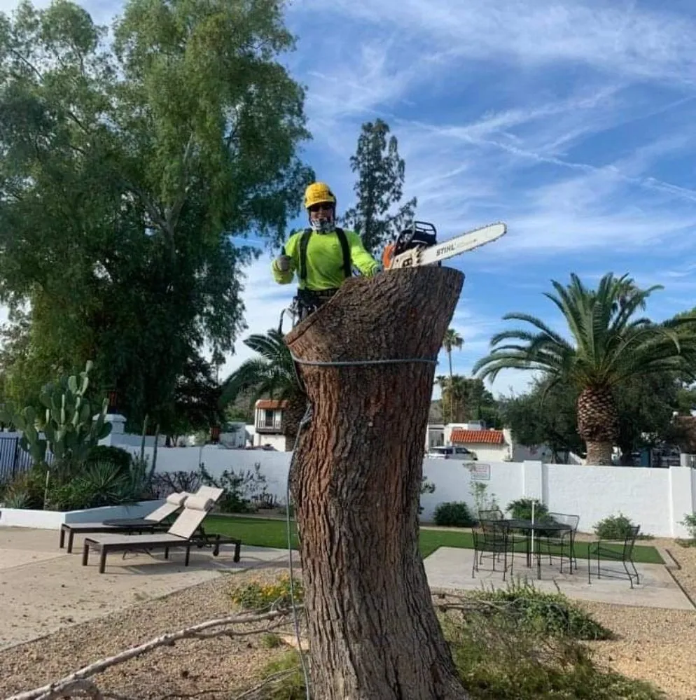 Expert outdoor landscaping in Phoenix, AZ by K P Landscaping Kener Perez