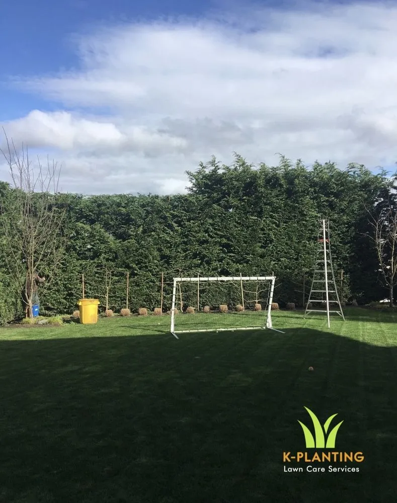 Custom lawn care service near you in Snohomish, WA by K Planting