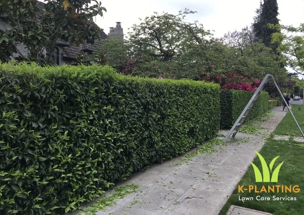 Trusted outdoor landscaping for residential properties in Snohomish, WA by K Planting